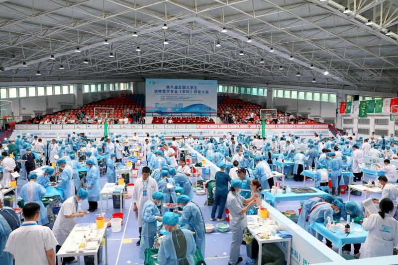 中国大学生医学技术技能大赛 2026（护理学赛道）